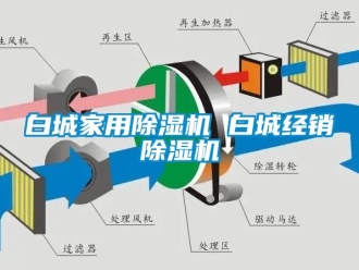 常見問題白城家用除濕機(jī) 白城經(jīng)銷除濕機(jī)