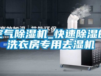 行業(yè)新聞空氣除濕機_快速除濕的洗衣房專用去濕機