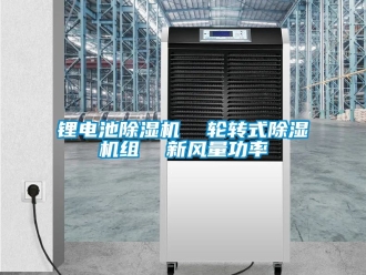 常見問題鋰電池除濕機(jī)  輪轉(zhuǎn)式除濕機(jī)組  新風(fēng)量功率