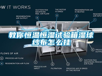 知識百科教你恒溫恒濕試驗箱濕球紗布怎么掛