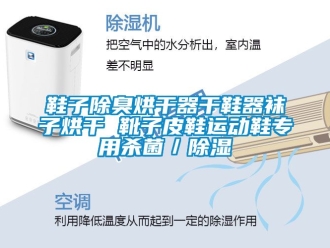 行業(yè)新聞鞋子除臭烘干器干鞋器襪子烘干 靴子皮鞋運動鞋專用殺菌／除濕