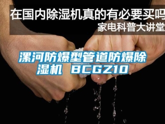 企業(yè)新聞漯河防爆型管道防爆除濕機 BCGZ10