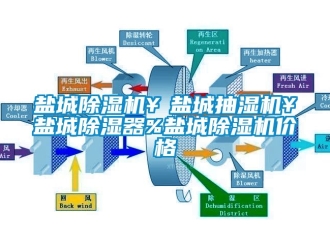 企業(yè)新聞鹽城除濕機￥鹽城抽濕機￥鹽城除濕器%鹽城除濕機價格