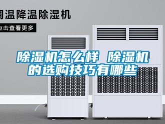 行業(yè)新聞除濕機(jī)怎么樣 除濕機(jī)的選購(gòu)技巧有哪些