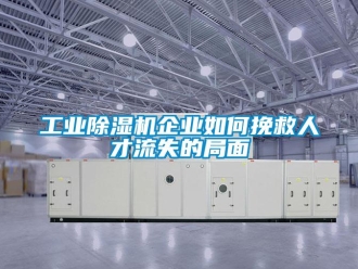 常見問題工業(yè)除濕機企業(yè)如何挽救人才流失的局面