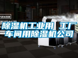 常見問題除濕機(jī)工業(yè)用 工廠車間用除濕機(jī)公司