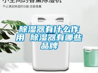 行業(yè)新聞除濕器有什么作用 除濕器有哪些品牌