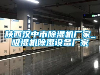 企業(yè)新聞陜西漢中市除濕機(jī)廠家_吸濕機(jī)除濕設(shè)備廠家