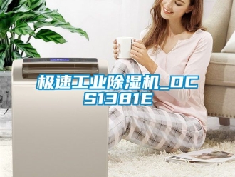 常見(jiàn)問(wèn)題極速工業(yè)除濕機(jī)_DCS1381E