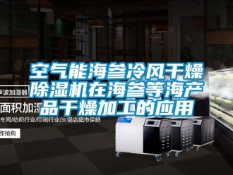 行業(yè)新聞空氣能海參冷風干燥除濕機在海參等海產(chǎn)品干燥加工的應用