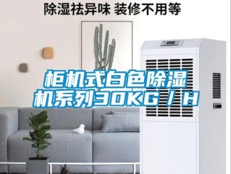 行業(yè)新聞柜機(jī)式白色除濕機(jī)系列30KG／H