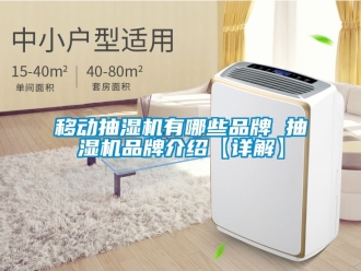 企業(yè)新聞移動(dòng)抽濕機(jī)有哪些品牌 抽濕機(jī)品牌介紹【詳解】