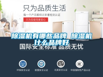 企業(yè)新聞除濕機(jī)有哪些品牌 除濕機(jī)什么品牌好