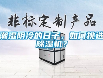 常見問題潮濕陰冷的日子，如何挑選除濕機？