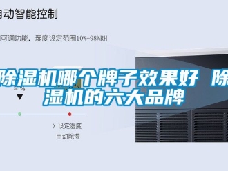 企業(yè)新聞除濕機(jī)哪個牌子效果好 除濕機(jī)的六大品牌