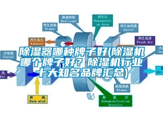 企業(yè)新聞除濕器哪種牌子好(除濕機(jī)哪個(gè)牌子好？除濕機(jī)行業(yè)十大知名品牌匯總)