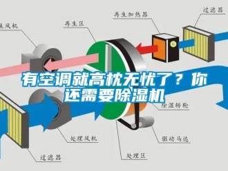 知識(shí)百科有空調(diào)就高枕無憂了？你還需要除濕機(jī)