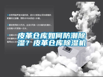 企業(yè)新聞皮革倉庫如何防潮除濕？皮革倉庫除濕機(jī)