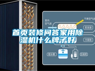 常見問題首頁裝修問答家用除濕機(jī)什么牌子好
