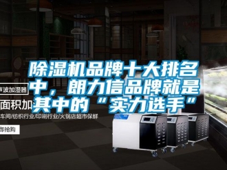 企業(yè)新聞除濕機(jī)品牌十大排名中，朗力信品牌就是其中的“實(shí)力選手”