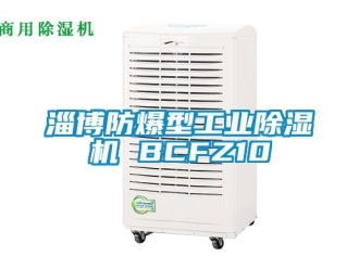 企業(yè)新聞淄博防爆型工業(yè)除濕機 BCFZ10