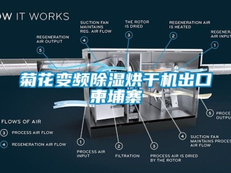 行業(yè)新聞菊花變頻除濕烘干機出口柬埔寨