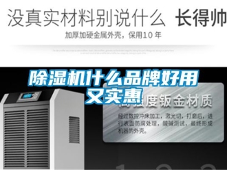 企業(yè)新聞除濕機什么品牌好用又實惠