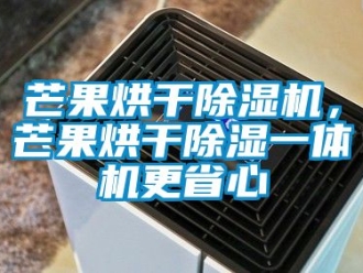 行業(yè)新聞芒果烘干除濕機(jī)，芒果烘干除濕一體機(jī)更省心