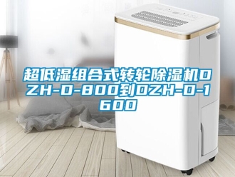 常見問題超低濕組合式轉(zhuǎn)輪除濕機(jī)DZH-D-800到DZH-D-1600