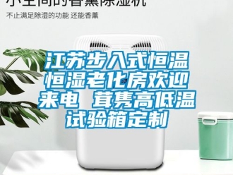 知識百科江蘇步入式恒溫恒濕老化房歡迎來電 茸雋高低溫試驗箱定制