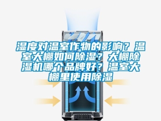 企業(yè)新聞濕度對(duì)溫室作物的影響？溫室大棚如何除濕？大棚除濕機(jī)哪個(gè)品牌好？溫室大棚里使用除濕