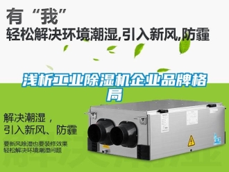 常見問題淺析工業(yè)除濕機企業(yè)品牌格局