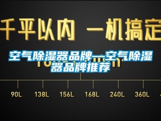 行業(yè)新聞空氣除濕器品牌—空氣除濕器品牌推薦