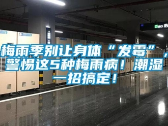 行業(yè)新聞梅雨季別讓身體“發(fā)霉”，警惕這5種梅雨??！潮濕一招搞定！