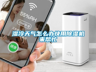 常見問題濕冷天氣怎么辦快用除濕機來幫忙