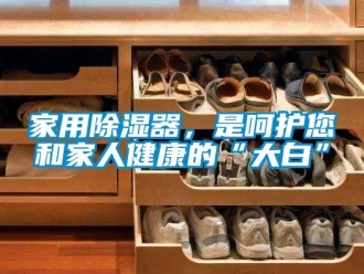 行業(yè)新聞家用除濕器，是呵護(hù)您和家人健康的“大白”