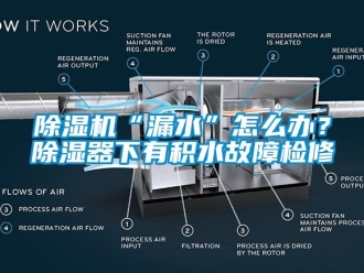 企業(yè)新聞除濕機(jī)“漏水”怎么辦？除濕器下有積水故障檢修