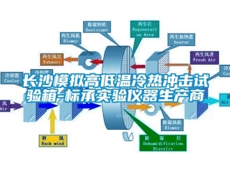 常見問題長沙模擬高低溫冷熱沖擊試驗箱-標承實驗儀器生產(chǎn)商