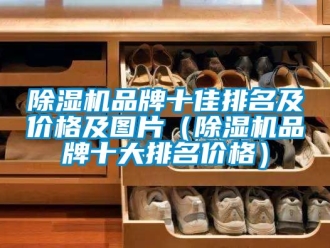 企業(yè)新聞除濕機品牌十佳排名及價格及圖片（除濕機品牌十大排名價格）