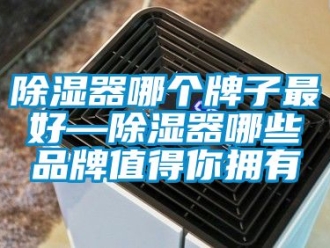 行業(yè)新聞除濕器哪個(gè)牌子最好—除濕器哪些品牌值得你擁有