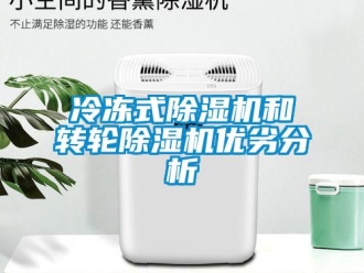 行業(yè)新聞冷凍式除濕機和轉(zhuǎn)輪除濕機優(yōu)劣分析