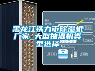 企業(yè)新聞黑龍江鐵力市除濕機廠家_大型抽濕機類型選擇