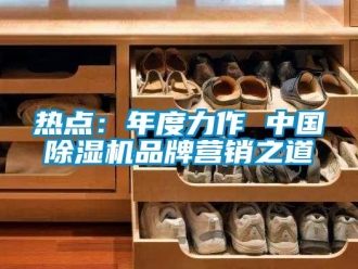 行業(yè)新聞熱點：年度力作 中國除濕機品牌營銷之道