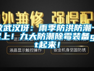 常見(jiàn)問(wèn)題致武漢伢：雨季防洪防潮一起上！九大防潮除霉裝備get起來(lái)！