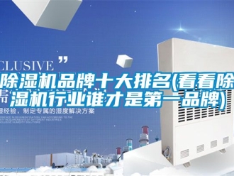 企業(yè)新聞除濕機(jī)品牌十大排名(看看除濕機(jī)行業(yè)誰才是第一品牌)