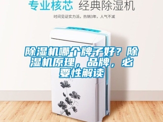 企業(yè)新聞除濕機(jī)哪個牌子好？除濕機(jī)原理，品牌，必要性解讀