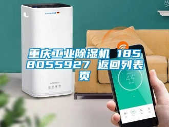 常見問題重慶工業(yè)除濕機 1858055927 返回列表頁