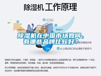 企業(yè)新聞除濕機在中國市場如何，有哪些品牌比較好？