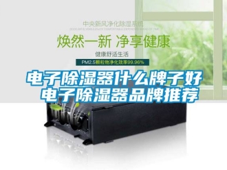 行業(yè)新聞電子除濕器什么牌子好 電子除濕器品牌推薦